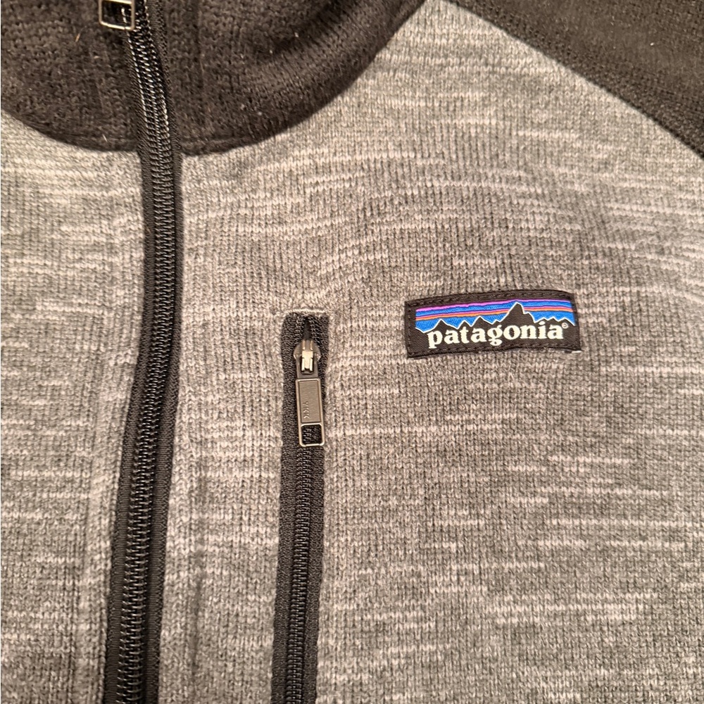 Patagonia Fleece Jacket in Gray - Picture 3 of 5
